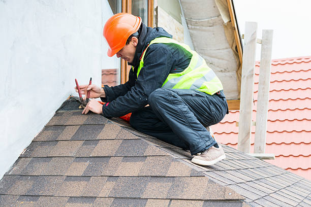 Best Roof Gutter Cleaning  in Bridgetown, MS