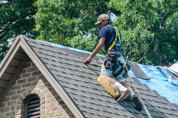 Best Roof Maintenance Services  in Bridgetown, MS